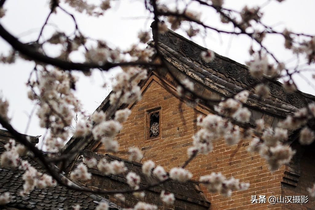 王家大院的歷史簡(jiǎn)介，王家大院，歷史簡(jiǎn)介與傳承之旅