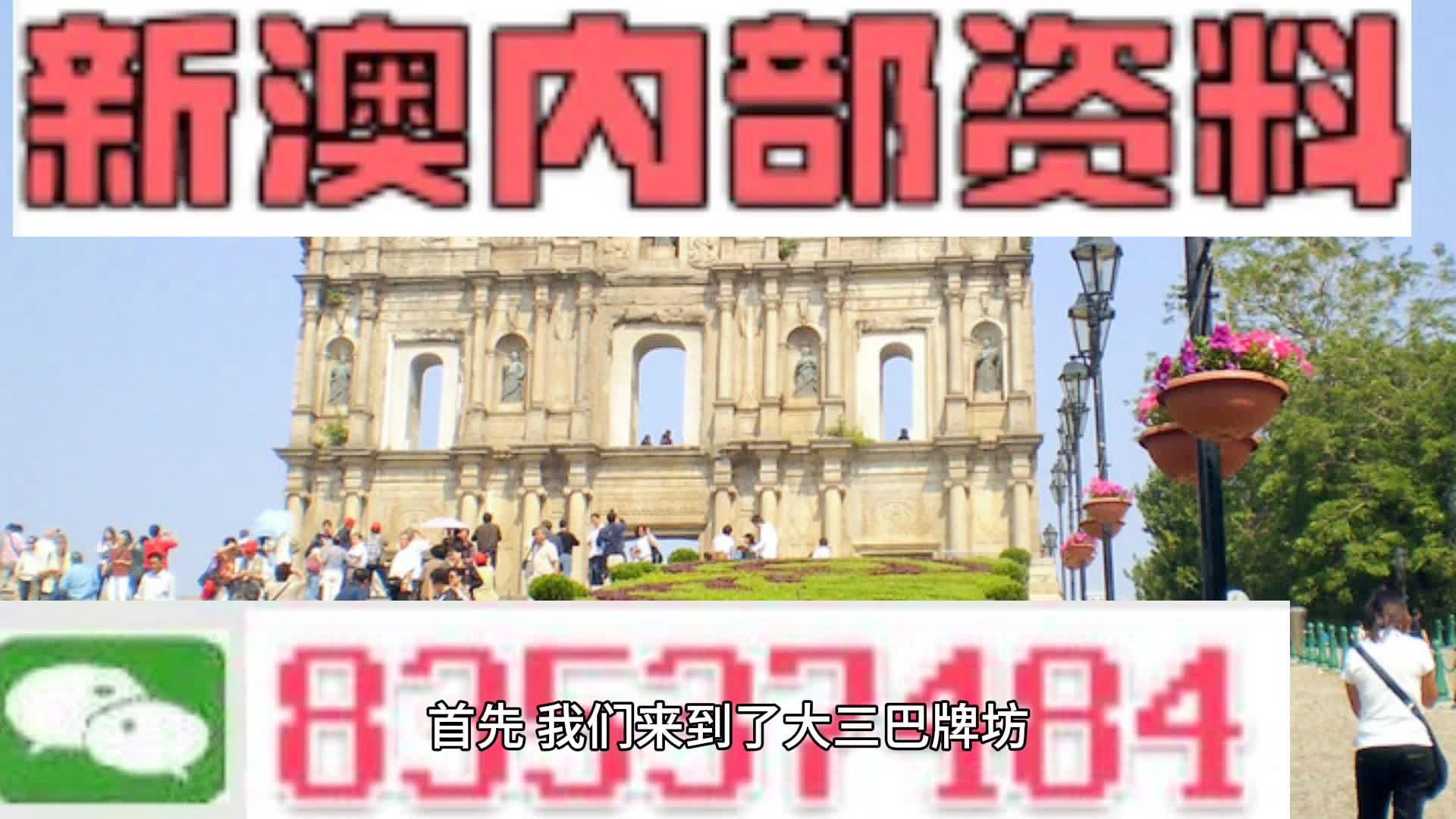 新澳2025今晚開獎資料詳解與分析，新澳2025今晚開獎資料全面解析與詳解