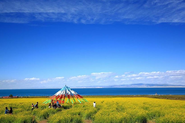 青海旅游必去景點——探索神秘高原的絕佳之地，青海旅游必探神秘高原景點——絕佳旅游勝地