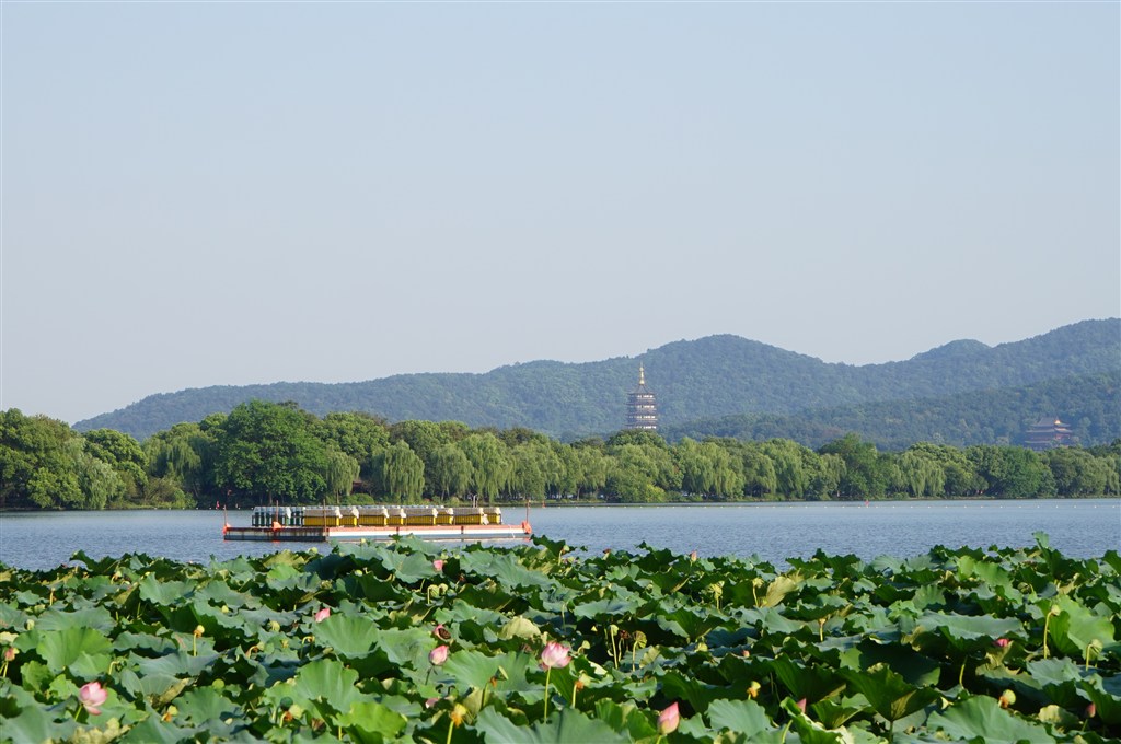 杭州西湖圖片高清大圖——領(lǐng)略千年風(fēng)華的絕美畫卷，杭州西湖高清大圖，千年風(fēng)華的絕美畫卷欣賞