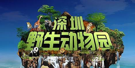 西麗動物園門票價格詳解，多少錢一覽無遺，西麗動物園門票價格全解析，一覽無遺的票價信息