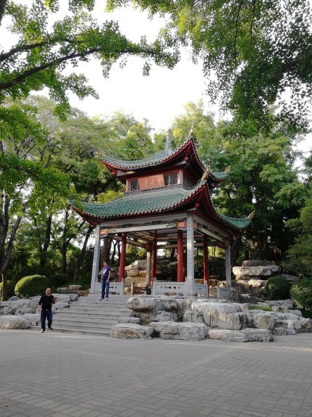 北京陶然亭公園門票信息及游玩攻略，北京陶然亭公園門票信息與游玩攻略全解析