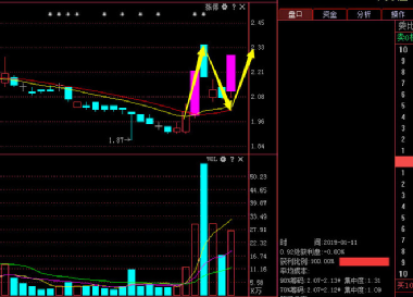 關(guān)于股票股吧中的300209股票深度解析，股票股吧中的300209股票深度剖析與解析