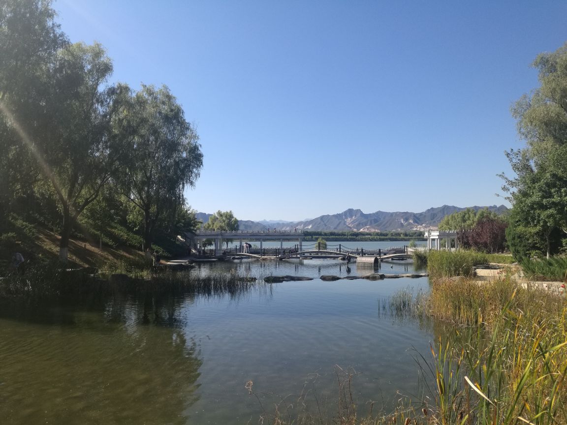 青龍湖公園，自然美景與人文藝術的完美融合，青龍湖公園，自然美景與人文藝術的和諧共融