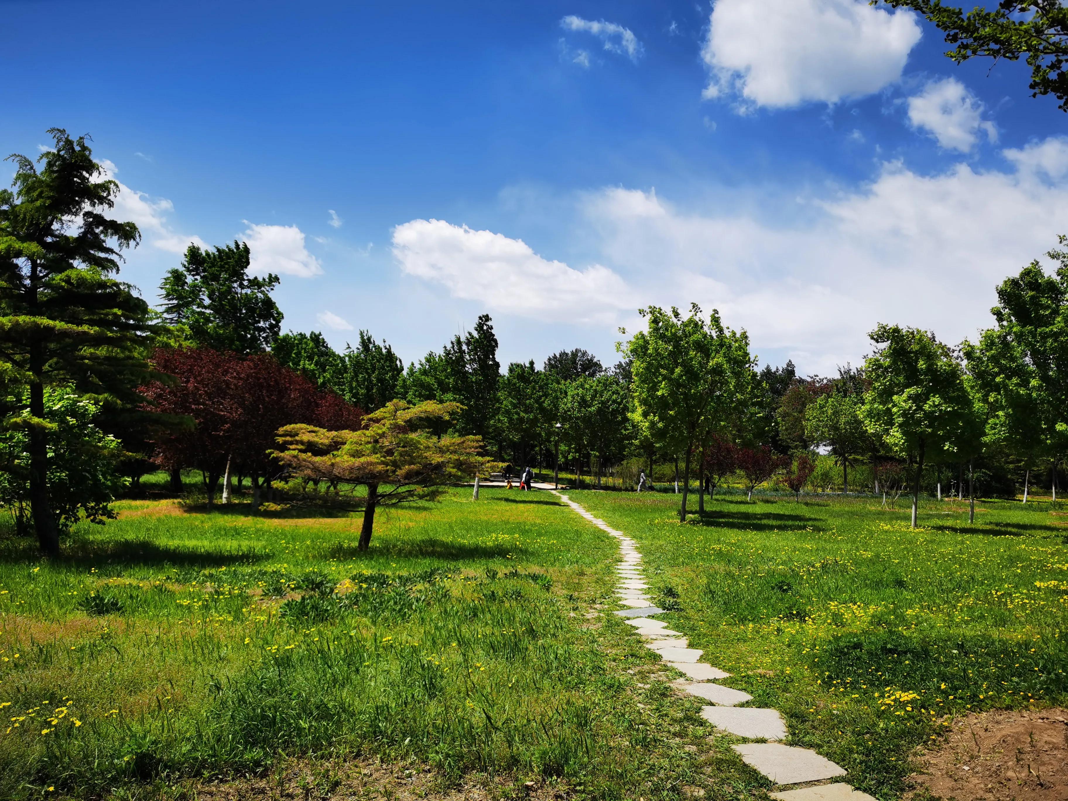 南海子公園游玩攻略，南海子公園游玩攻略大全