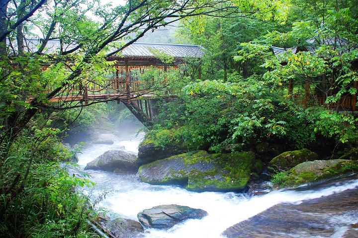 張家界與九寨溝，自然美景的巔峰對決，究竟哪個更勝一籌？，張家界與九寨溝，自然美景巔峰對決，誰更勝一籌？對比解析揭秘答案！