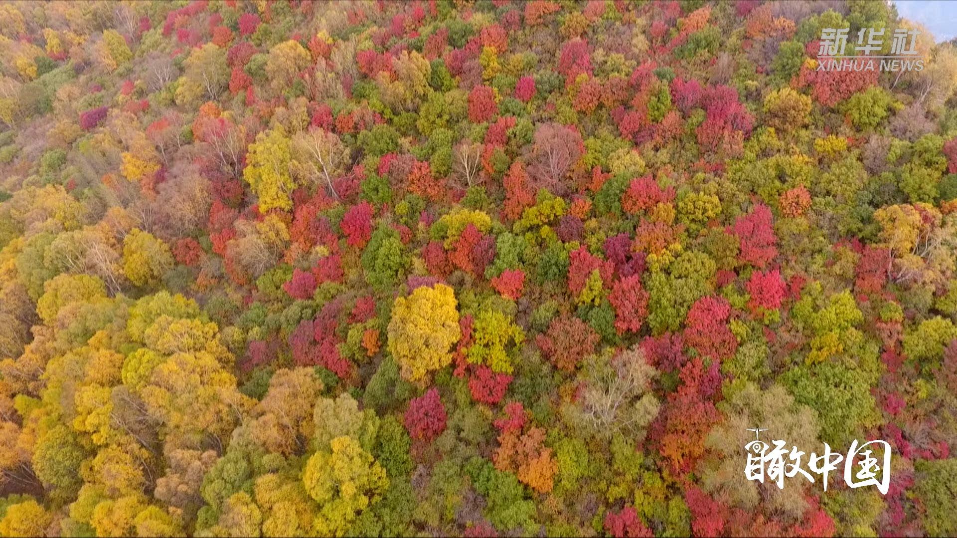 保定白石山風(fēng)景區(qū)，自然之美盡收眼底，保定白石山風(fēng)景區(qū)，自然之美的盡收眼底之旅