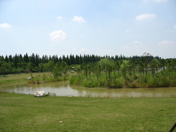 西沙濕地公園，自然與人文的和諧共生之地，西沙濕地公園，自然與人文的和諧共生勝地