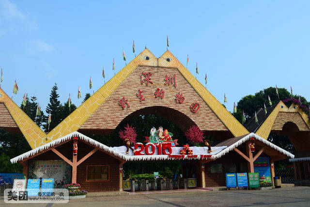 深圳動物園攻略，玩轉(zhuǎn)動物園，體驗最佳觀賞之旅，深圳動物園最佳觀賞指南，玩轉(zhuǎn)動物園之旅