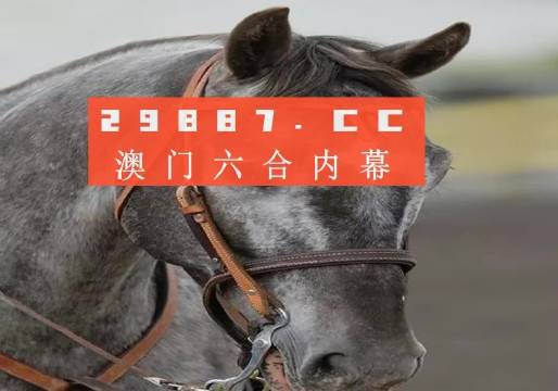 澳門一一碼一特一中準(zhǔn)選今晚，探索澳門的魅力與精準(zhǔn)預(yù)測，澳門魅力探索與今晚精準(zhǔn)一碼預(yù)測