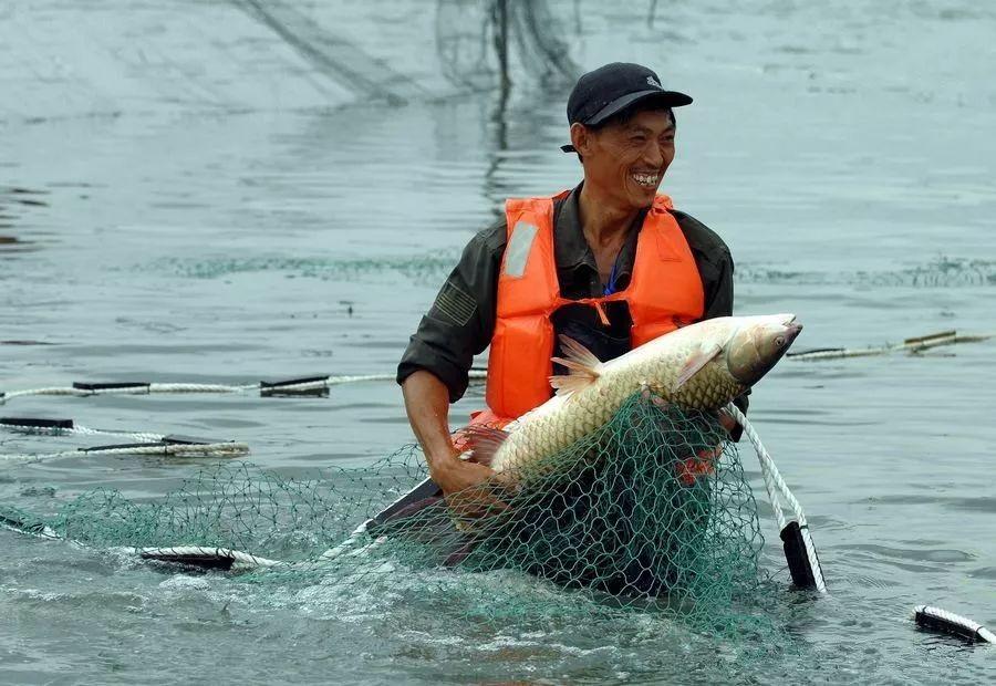 三峽大壩是否屬于重慶，地理位置與工程重要性解析，三峽大壩的地理位置與工程重要性，是否屬于重慶的探討