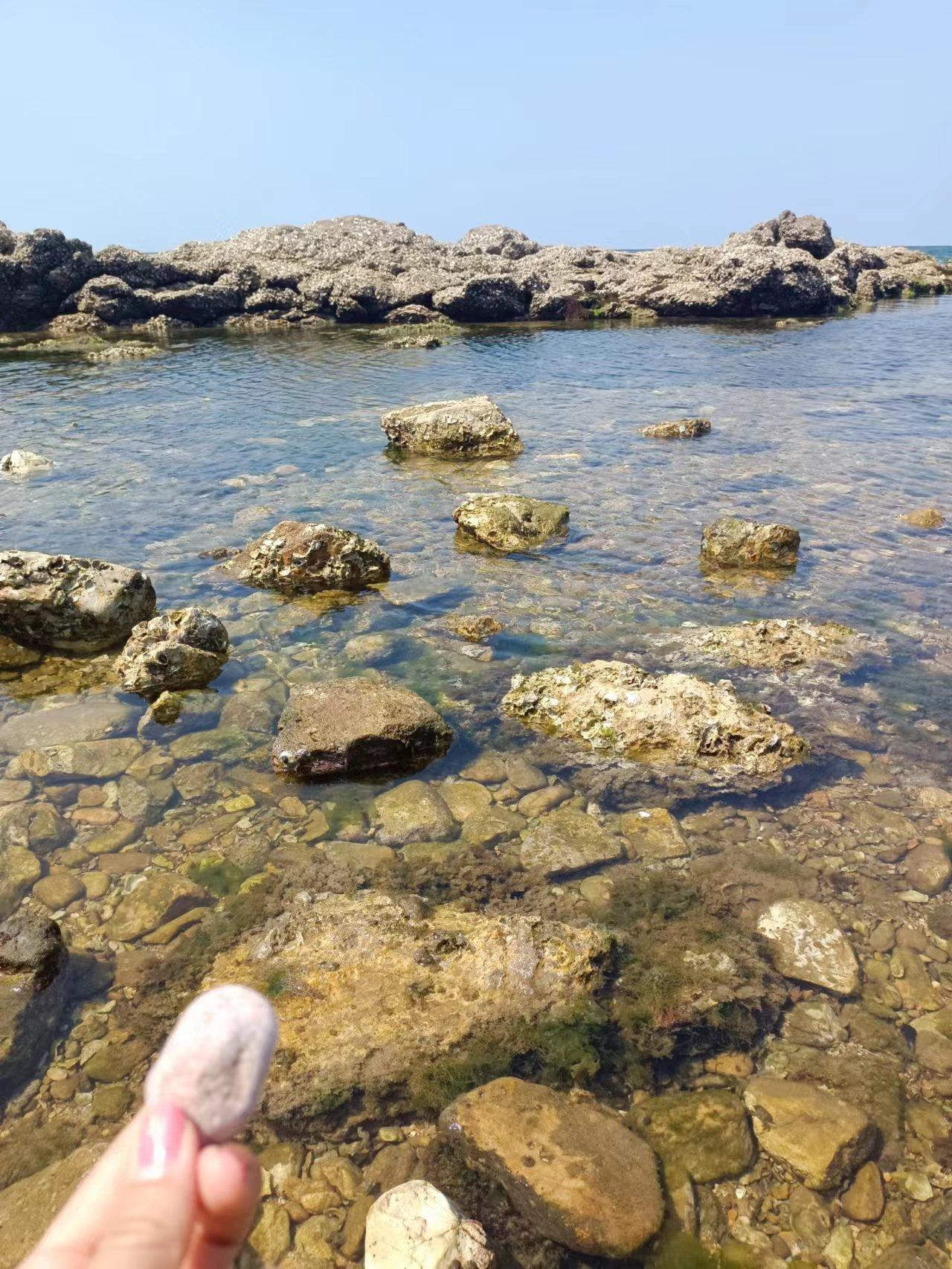 獐島旅游最佳時(shí)間——探尋最美的海島風(fēng)光，獐島最佳旅游時(shí)節(jié)，探尋海島風(fēng)光之美