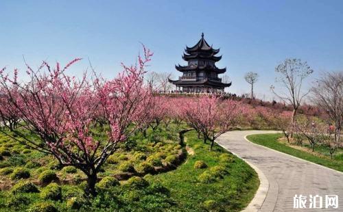 奉賢海灣森林公園門票價(jià)格詳解，奉賢海灣森林公園門票價(jià)格全解析