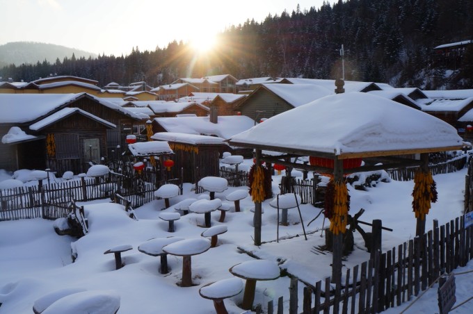 哈爾濱雪鄉(xiāng)圖片，美麗的冬季畫卷與旅游勝地探訪，哈爾濱雪鄉(xiāng)，冬季畫卷中的絕美旅游勝地探訪圖片