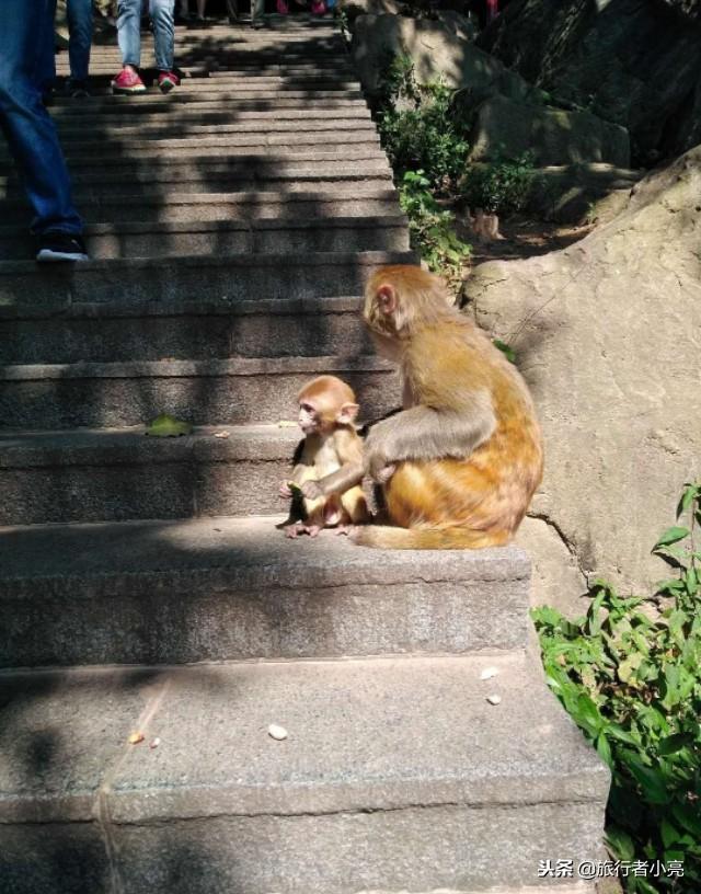 江蘇省旅游攻略，必玩的景點(diǎn)大全，江蘇省旅游攻略，必玩景點(diǎn)大全