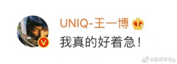 揭秘查王中王一肖中特的神秘面紗，探尋背后的秘密與真相，揭秘查王中王一肖中特的真相與背后秘密