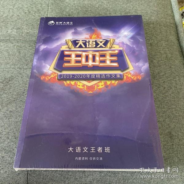 王中王資料2019一肖，揭秘背后的故事與趨勢分析，揭秘王中王資料背后的故事與趨勢分析，2019一肖展望