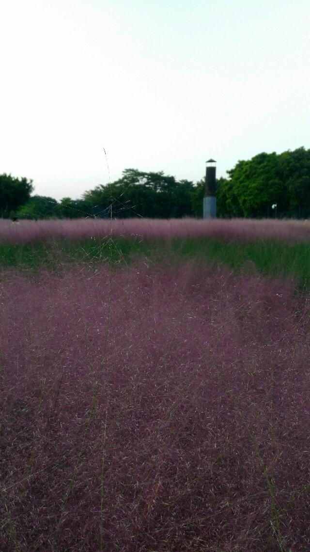 佛山周末好去處一日游，探索城市的魅力與驚喜，佛山一日游，探尋城市魅力與驚喜的周末好去處